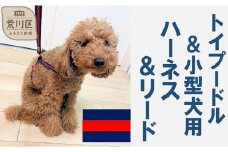 トイプードル向けハーネス＆リード(カラー：紺赤紺)【001-018-2】