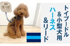 トイプードル向けハーネス＆リード(カラー：紺青紺)【001-018-3】