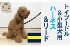 トイプードル向けハーネス＆リード(カラー：紺黄紺)【001-018-4】