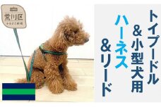 トイプードル向けハーネス＆リード(カラー：紺緑紺)【001-018-5】