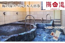 梅の湯スペシャル入浴券(大人1枚)【063-002】銭湯 サウナ 入浴剤 利用券 チケット レジャー 体験 観光 東京都 荒川区