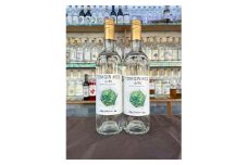「板橋のいっぴん」サンショウ香る　クラフトトムジン　700ml×2本セット＜24012005＞【1585197】