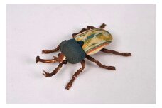 昆虫オブジェ insectum (インセクタム) ニジイロクワガタ (専用桐箱入り) [0242]