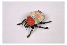 昆虫オブジェ insectum (インセクタム) ハナムグリ (専用桐箱入り) [0243]