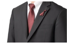  シルク100%のネクタイ＆「ｐ-Ｔｉｅ」（ネクタイ型ピンバッジ）セット（レッド）| ネクタイ シルク 赤 セット ビジネス おしゃれ 送料無料 東京 八王子