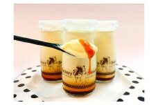  贅沢くちどけプリン6本セット | プリン 詰め合わせ スイーツ デザート 贈答用 おいしい 送料無料 東京 八王子