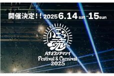 【6月15日開催/1dayチケット(1名様分)】八王子魂Festival＆Carnival2025