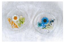  【Art grace】ノースポールのハーバリウムコースター　2枚セット | ハーバリウム コースター おしゃれ 食器 送料無料 東京 八王子