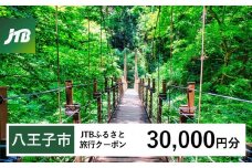 【八王子市】JTBふるさと旅行クーポン（Eメール発行）（30,000円分）