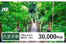 【八王子市】JTBふるさと旅行クーポン（30,000円分）有効期間3年（Eメール発行）｜旅行 トラベル 予約 国内旅行 JTB 宿泊 観光 体験 旅行券 宿泊券 旅行予約  ホテル 旅館 チケット 子供 子連れ カップル 家族 人気 おすすめ 旅行クーポン 店頭 オンライン ネット予約 電話 有効期間3年