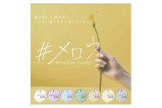 VETRO No.19 カラージェルネイル　#メロウシリーズ3個セットA　（514.515.516）