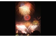 立川まつり国営昭和記念公園花火大会観覧ペアチケット