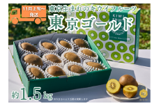 【2025年11月上旬～順次発送】東京オリジナルキウイ「東京ゴールド」約1.5kg