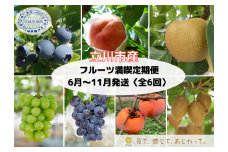 フルーツ満喫定期便（6ヶ月：全6回）