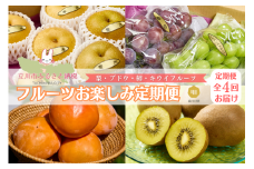 フルーツお楽しみ定期便（4ヶ月：全4回）