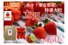 【希少！東京都産】特選大粒 立川いちご 1パック 約450g