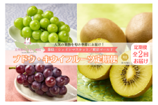 ブドウ・キウイフルーツ定期便（2ヶ月：全2回）