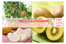幻の稲城梨・東京ゴールド定期便（2ヶ月：全2回）