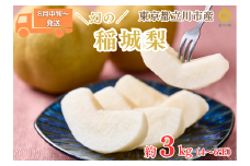 【2025年8月中旬～順次発送】「幻の稲城梨」約3kg