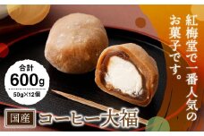 【紅梅堂で一番人気】コーヒー大福  12個 国産