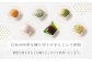 四季の上生菓子