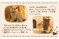 吉祥寺プティット村 ｢Cat Café てまりのおしろ｣ 入城チケット 1枚 アクセサリーケース付き