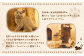 吉祥寺プティット村 ｢Cat Café てまりのおしろ｣ 入城ペアチケット マグカップ1個付き