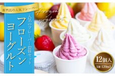 人気クラシック12個セット フローズンヨーグルト 120ml×12個 合計1440ml セット 詰め合わせ