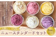ニュースタンダード6個セット フローズンヨーグルト 120ml×6個 合計720ml セット 詰め合わせ
