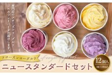 ニュースタンダード12個セット フローズンヨーグルト 120ml×12個 合計1440ml セット 詰め合わせ