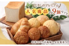 【ボンジュール・ボン】むさしのプレミアム『 メープルメロンパン 』など人気商品の9個セット 計4種 メープルメロンパン ヒレカツビーフカレー 塩ロール マーヴェラス食パン テレビ取材多数 金賞 受賞 パン 菓子パン 惣菜パン 冷凍