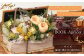 【 HANAGRA 】プリザーブドフラワー アレンジメント 「BOOK ・Apricot」 