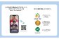 2人兄弟に最適！Snapband （ スナップバンド ）43本セット