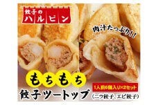 餃子ツートップ　2人前＜餃子のハルピン＞ ／ ぎょうざ ギョーザ 中華 東京都 [No.005]