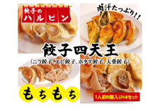 餃子四天王　4人前＜餃子のハルピン＞ ／ ぎょうざ ギョーザ 中華 東京都 [No.031]