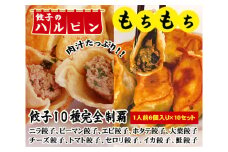 餃子10種完全制覇　10人前＜餃子のハルピン＞ ／ ぎょうざ ギョーザ 中華 東京都 [No.098]