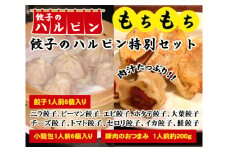 【餃子のハルピン特別セット】餃子10種、小籠包、豚肉のおつまみ　12人前 ／ ぎょうざ ギョーザ 中華 東京都 [No.102]