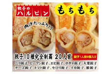 餃子10種完全制覇　20人前＜餃子のハルピン＞ ／ ぎょうざ ギョーザ 中華 東京都 [No.108]