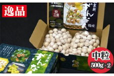 【2025年秋発送分】東京新ぎんなん（中粒） ／ 銀杏 ギンナン 逸品 東京都 特産品 [No.205]