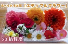 食べられるお花「エディブルフラワー」 ／ 華やか 旬 詰め合わせ 東京都 [No.216]