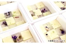 琥珀糖 ／ こはくとう 国産 寒天 スッキリ ザラメ シャリッ 食感 果物 草花 一期一会 デザート おやつ 和菓子 東京都  [No.243]