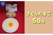 かわなべ鶏卵農場のこだわりのたまご　さくらたまご50個 [№5714-0129]