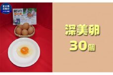 かわなべ鶏卵農場のこだわりのたまご　深美卵30個 [№5714-0127]