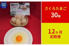 【定期便】かわなべ鶏卵農場のこだわりのたまご　さくらたまご30個　12ヶ月連続お届け [№5714-0141]