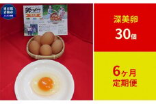 【定期便】かわなべ鶏卵農場のこだわりのたまご　深美卵30個　6ヶ月連続お届け [№5714-0144]