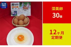 【定期便】かわなべ鶏卵農場のこだわりのたまご　深美卵30個　12ヶ月連続お届け [№5714-0145]