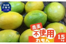栽培中農薬不使用　れもん　1.5kg　 [№5714-0199]