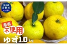 栽培中 農薬不使用 ゆず 1kg [№5714-0205]