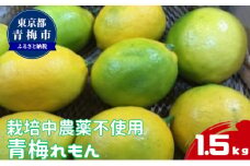 栽培中農薬不使用　青梅れもん　1.5kg [№5714-0224]