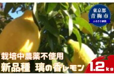 栽培中農薬不使用　新品種　璃の香レモン　1.2kg [№5714-0225]